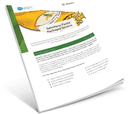 Pardot Marketing Automation Services Packages