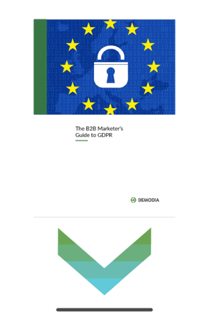 Demodia-Whitepaper-B2B-Marketers-Guide-to-GDPR-EN-download
