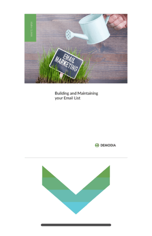 Demodia-Whitepaper-Building-and-maintaining-your-email-list-download