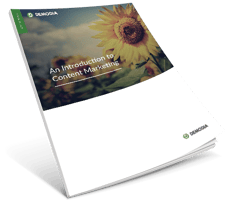 Guide to Content Marketing