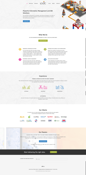 logicsolutionsgroup-B2B-storytelling-website-example