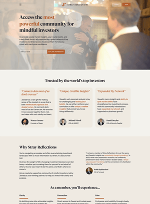 stray-reflections-B2B-storytelling-website-example-tab