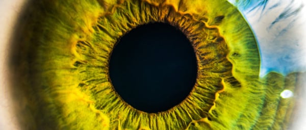3 Best Practices for B2B Visual Content