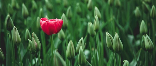 How to Identify Good Leads