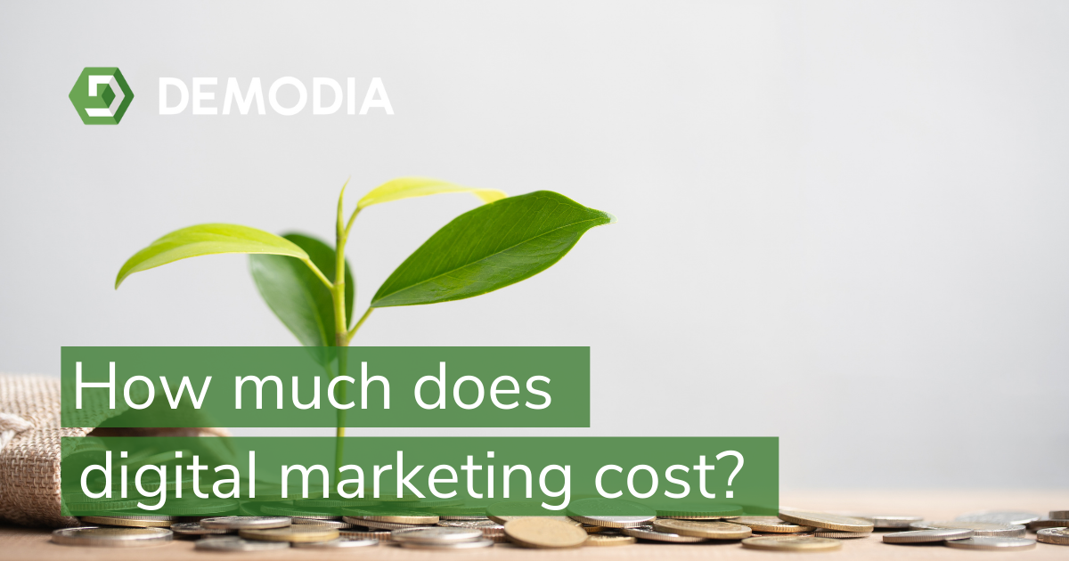 how-much-does-digital-marketing-cost-demodia